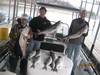(03/23/2018) - Nice Striped Bass